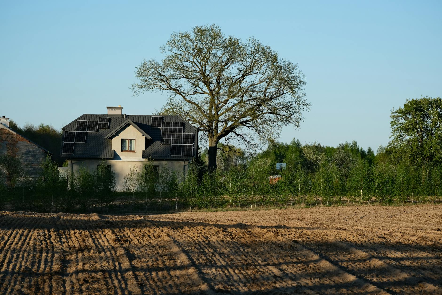 Solar panels - Tacoma