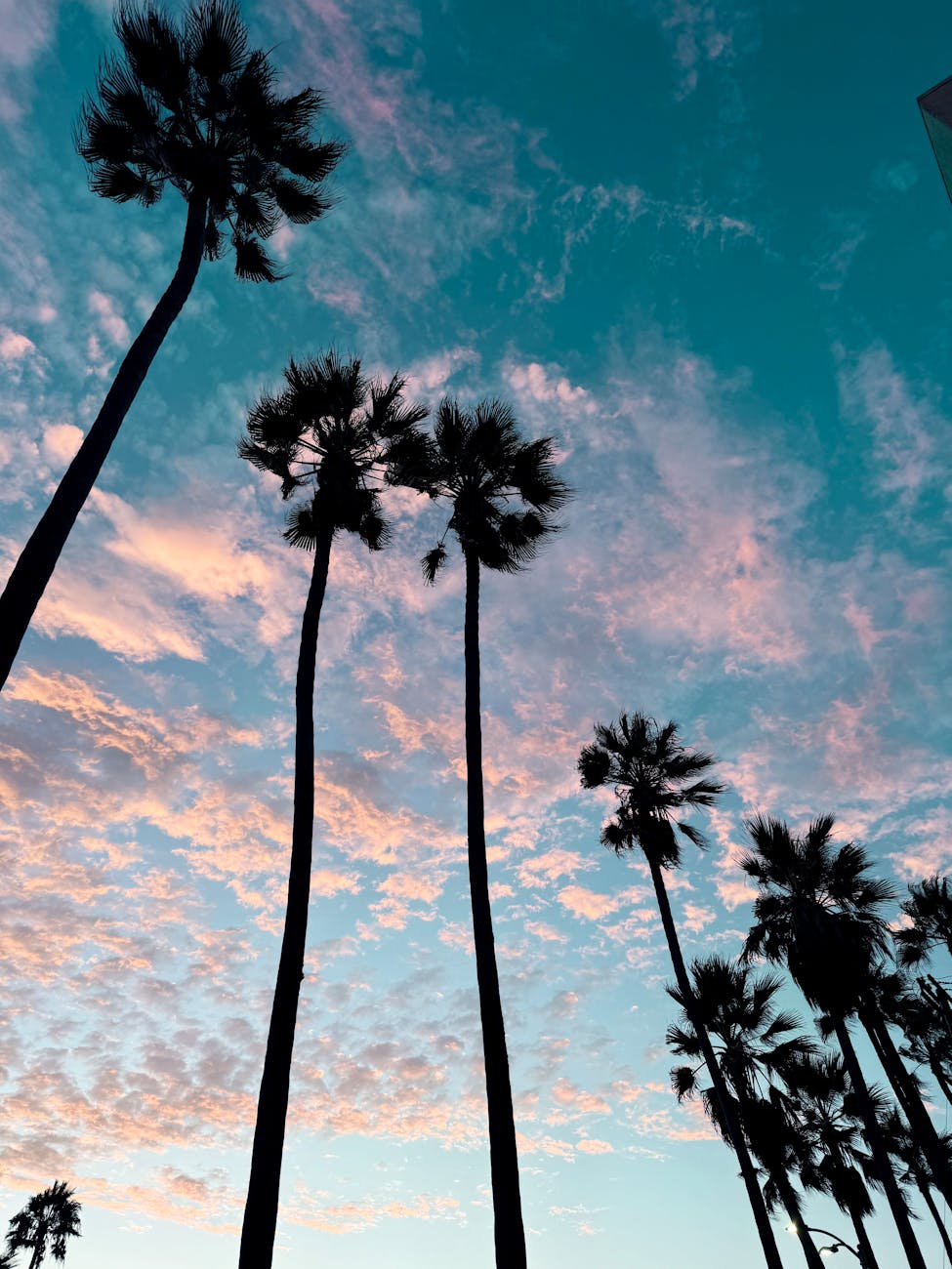 Solar panels - California - Image 3