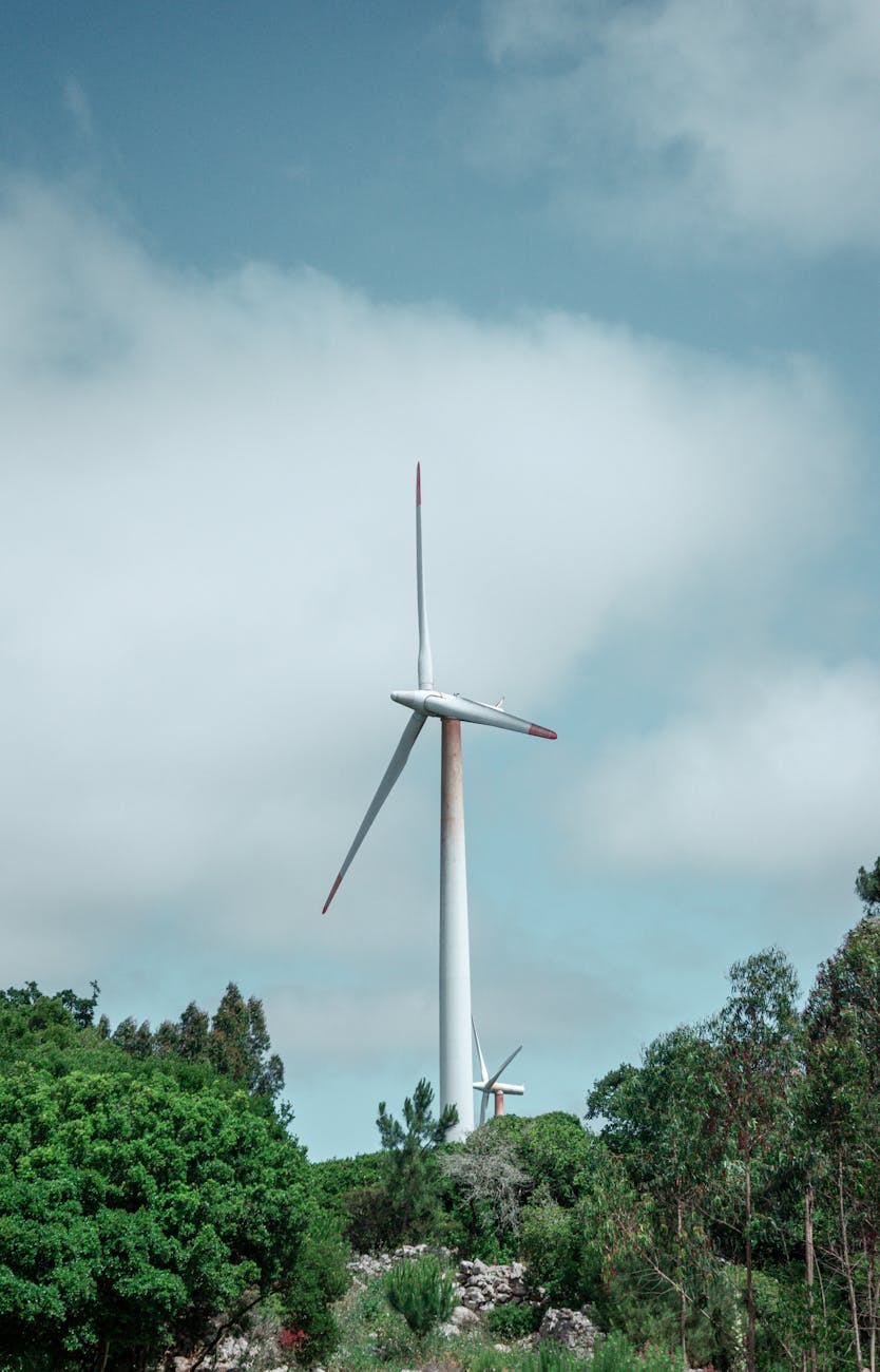 Solar panels - Greensboro - Image 3