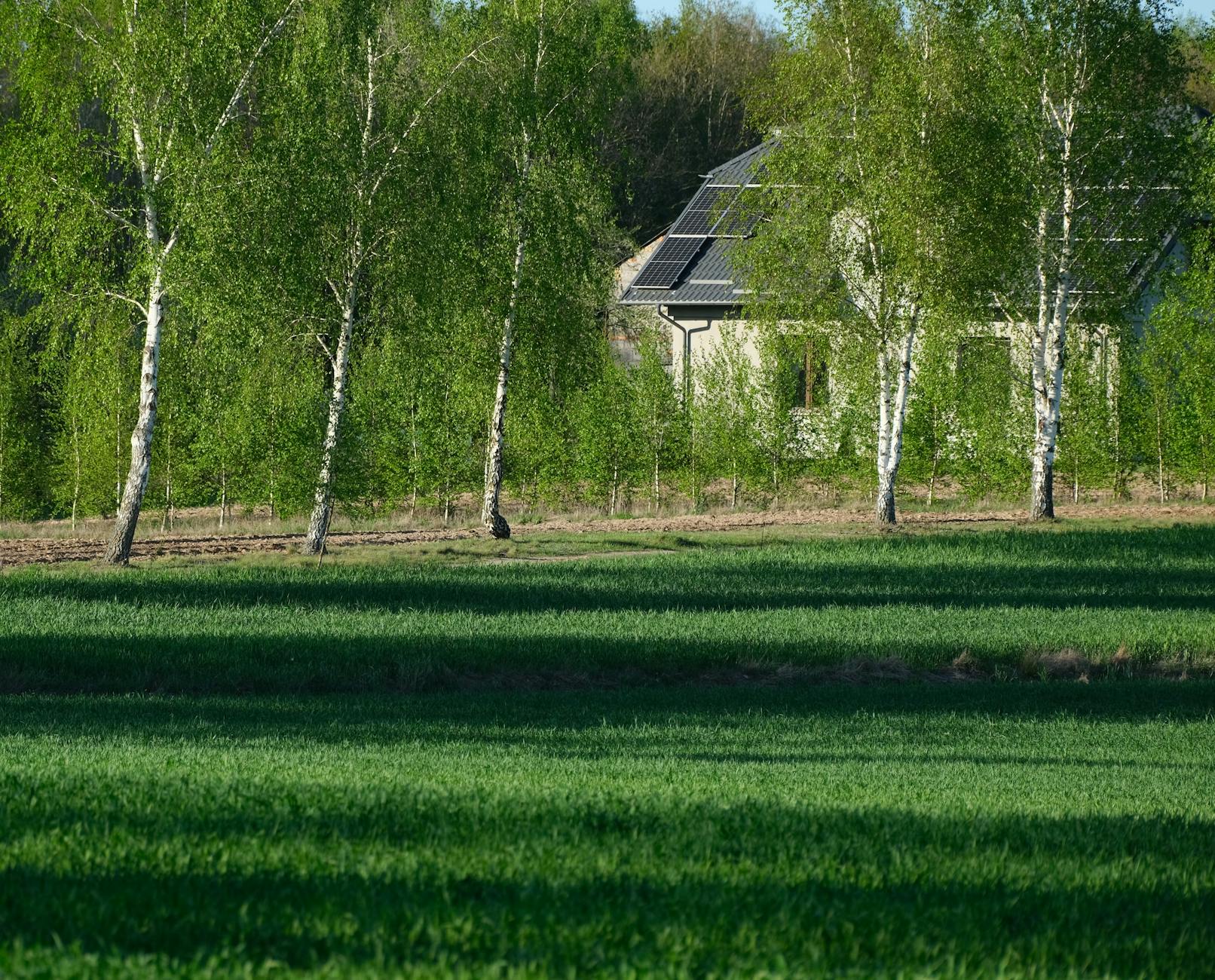 Solar panels - Kentucky - Image 2