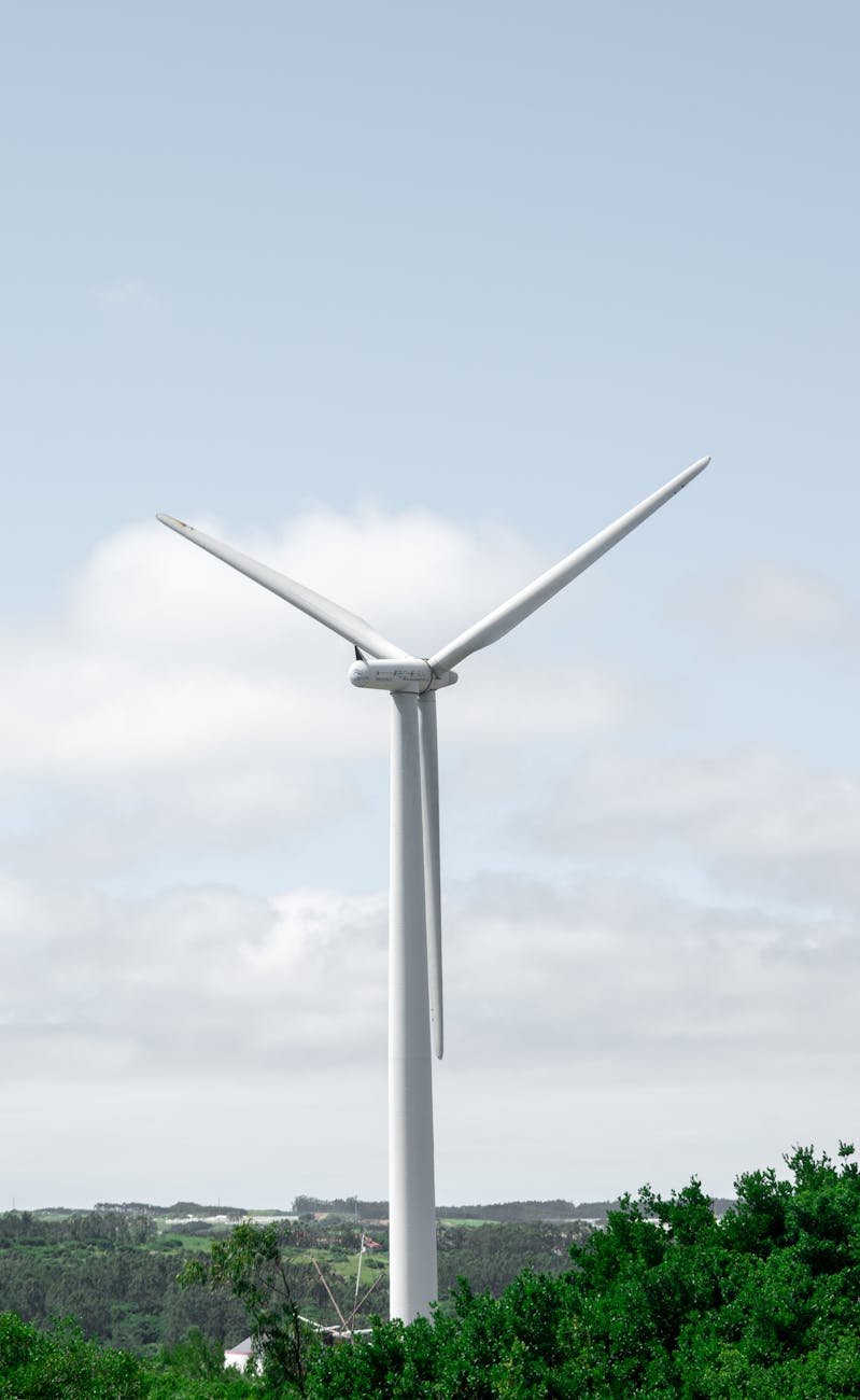 Solar panels - Little Rock - Image 1