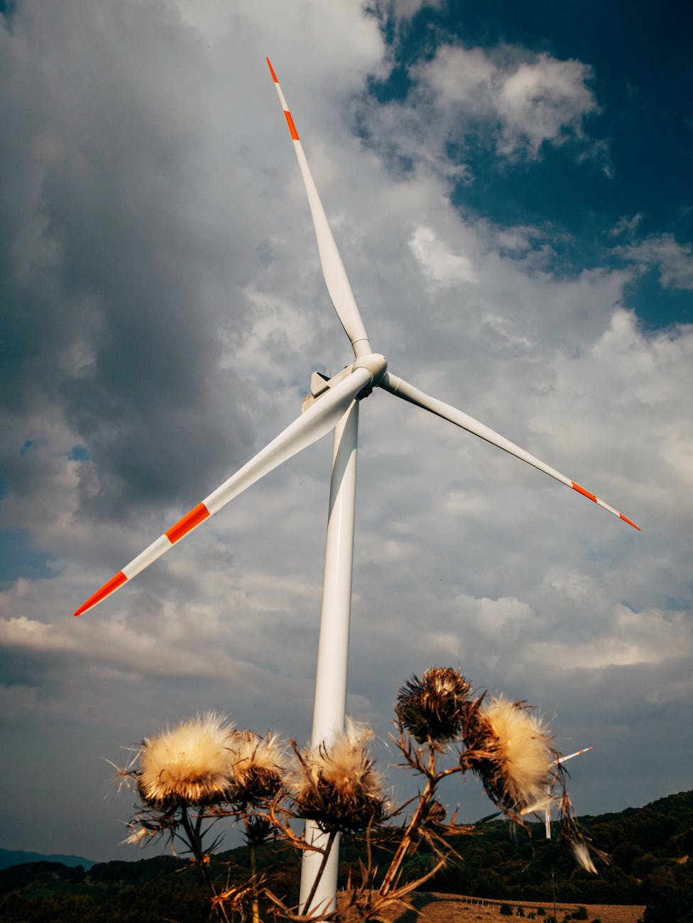 Solar panels - Lubbock - Image 1