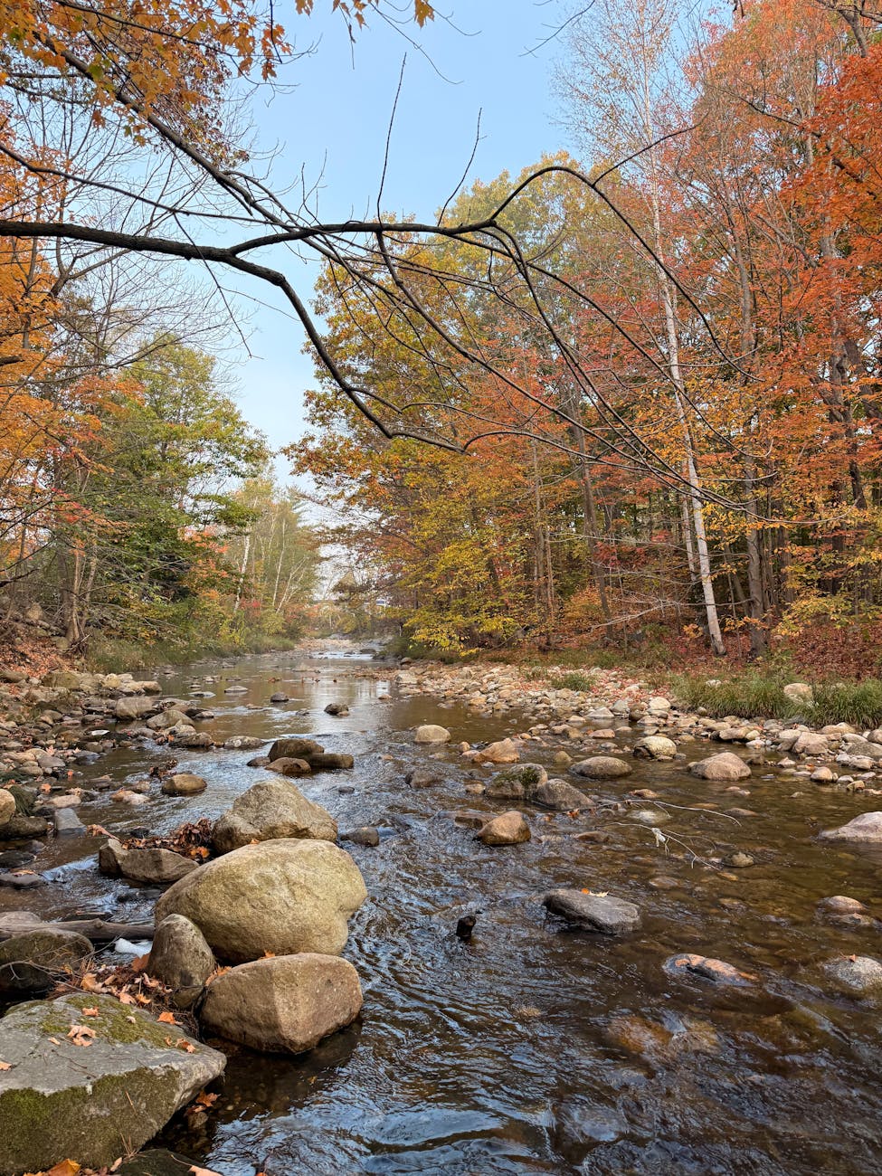 Solar panels - New Hampshire - Image 1