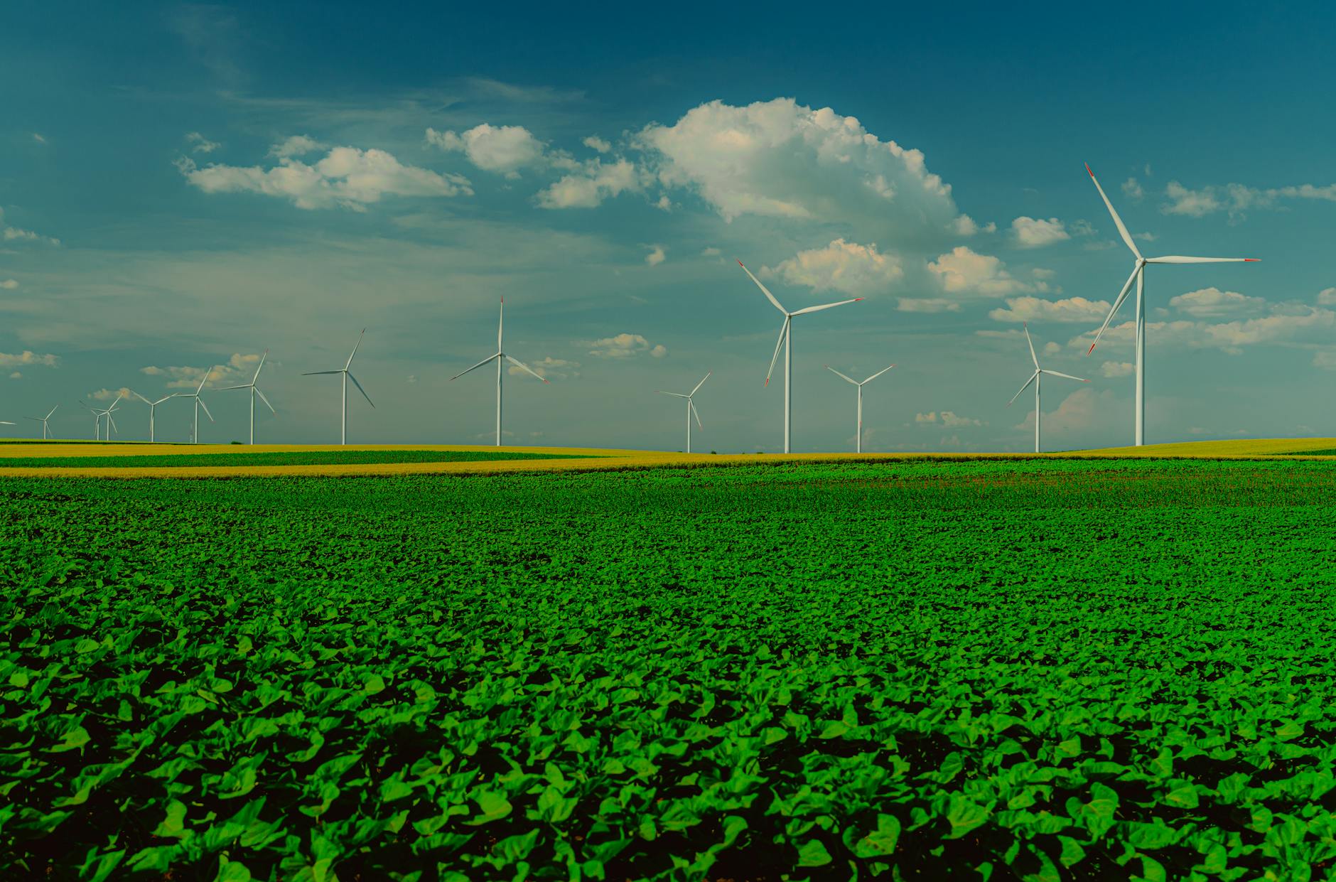 Solar panels - Norfolk - Image 3