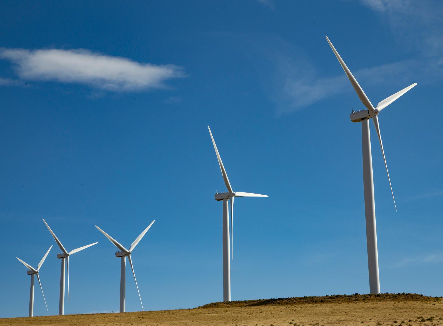 Solar panels - Richmond - Image 3