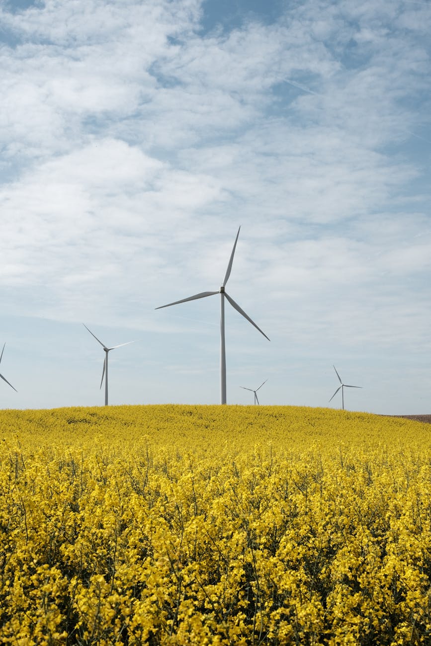 Solar panels - Solar Monitoring Guide - Image 3