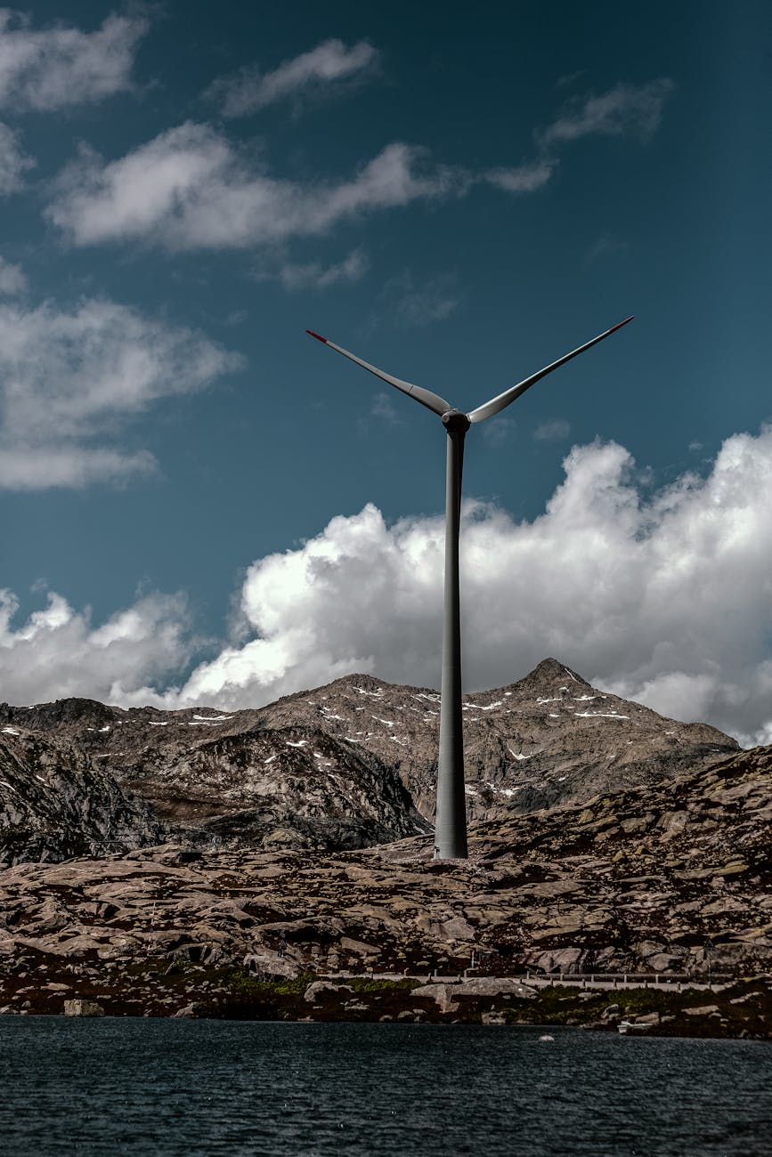 Solar panels - Solar Panel Cleaning - Image 3