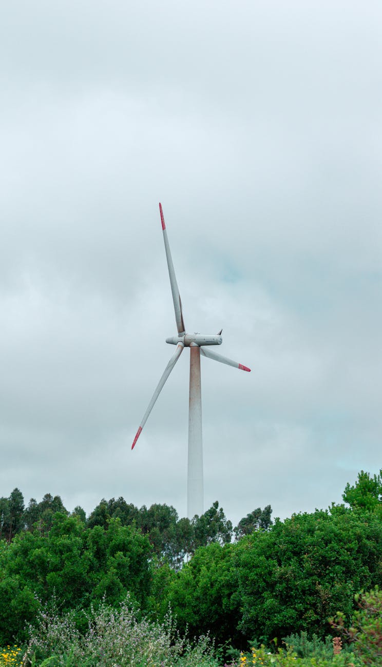 Solar panels - Solar Rebates By State - Image 3