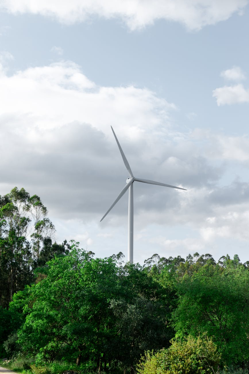 Solar panels - Tampa - Image 2