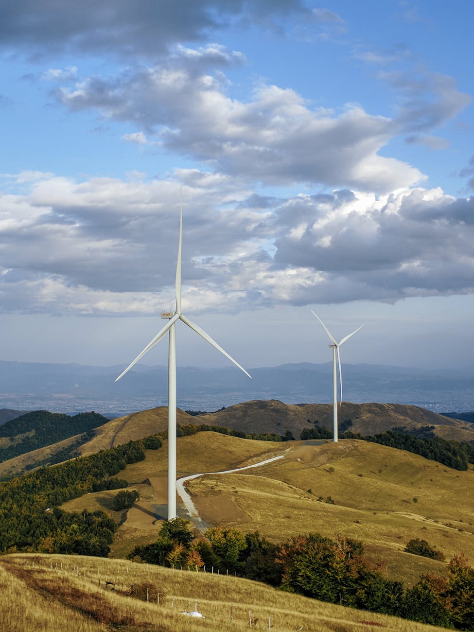 Solar panels - Washington Dc - Image 2