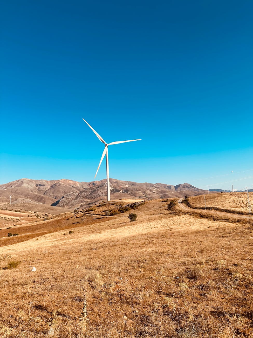 Solar panels - Yonkers - Image 3