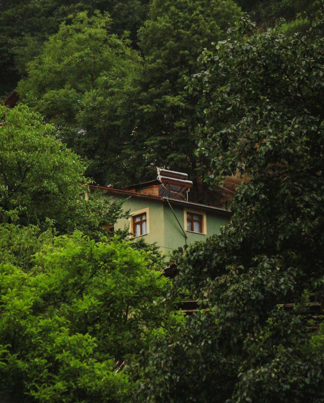 Solar panel installation near me in New Orleans