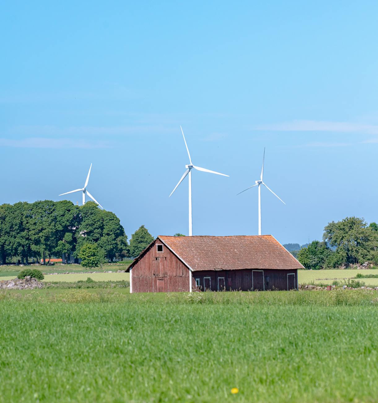 Solar panels - Solar Carport
