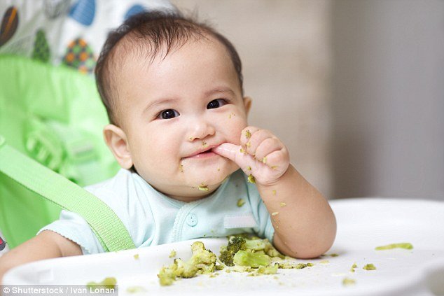 Babies should be fed solid food from just 3 MONTHS