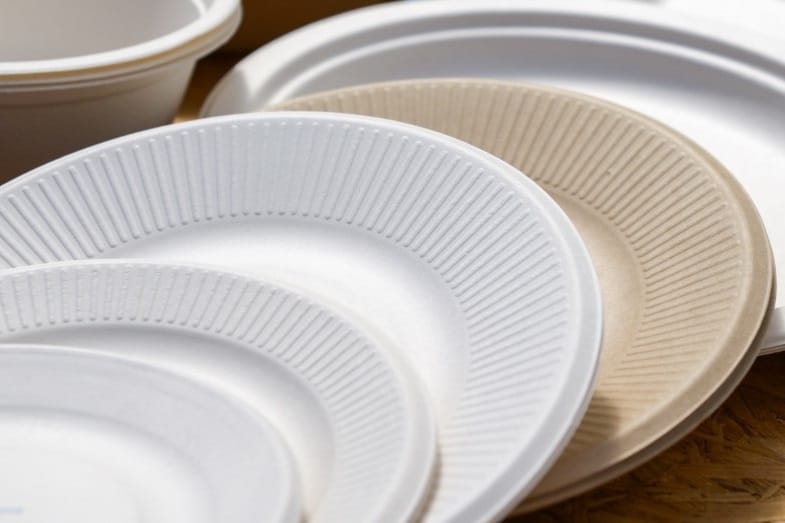 Can You Microwave Paper Plates? Is it Safe?