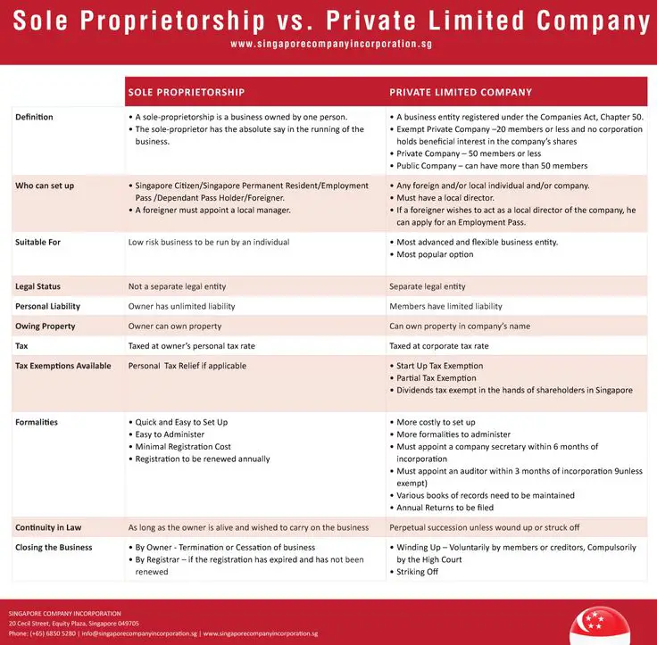 Converting Sole Proprietorship to SG Pte Ltd Company ...