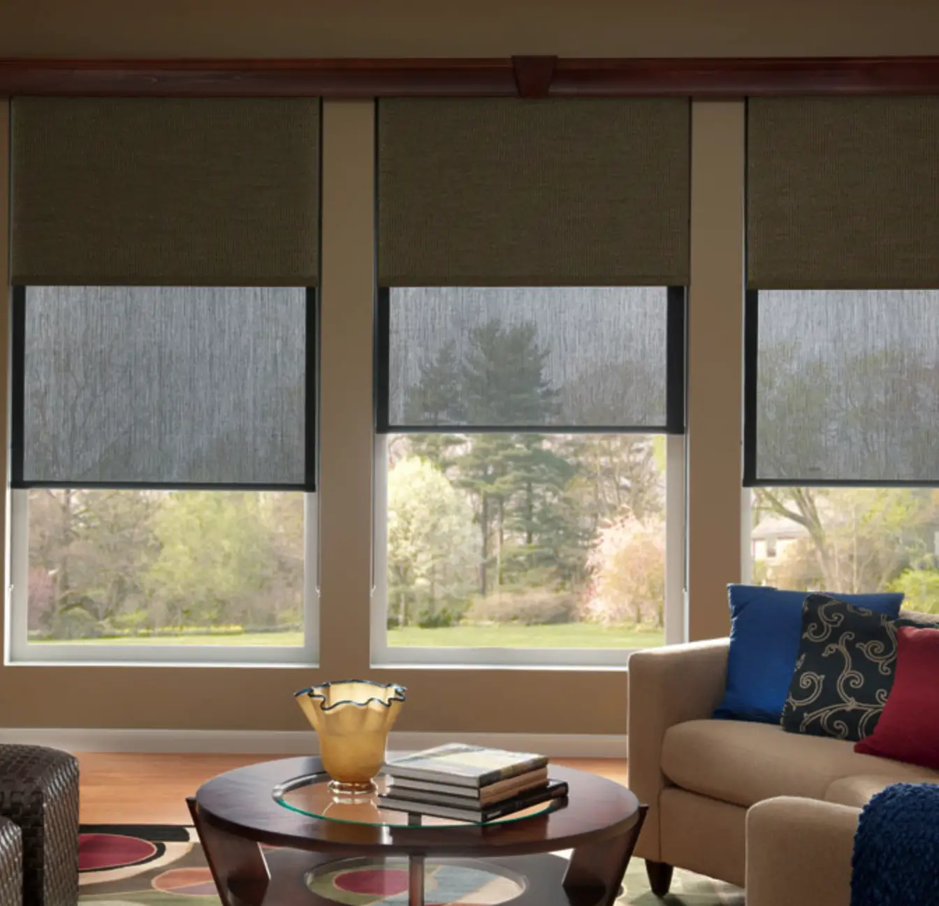 Dual Shades in one window. Yes we can do that! Blackout and Filtered ...