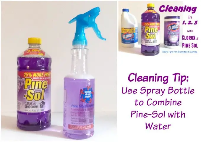 Easy Cleaning with Clorox and Pinesol