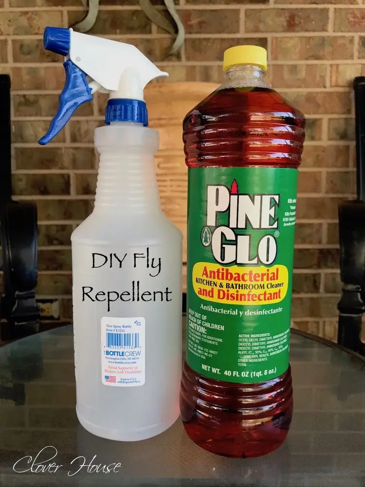 Home Remedy for Outdoor Fly Repellent in 2020