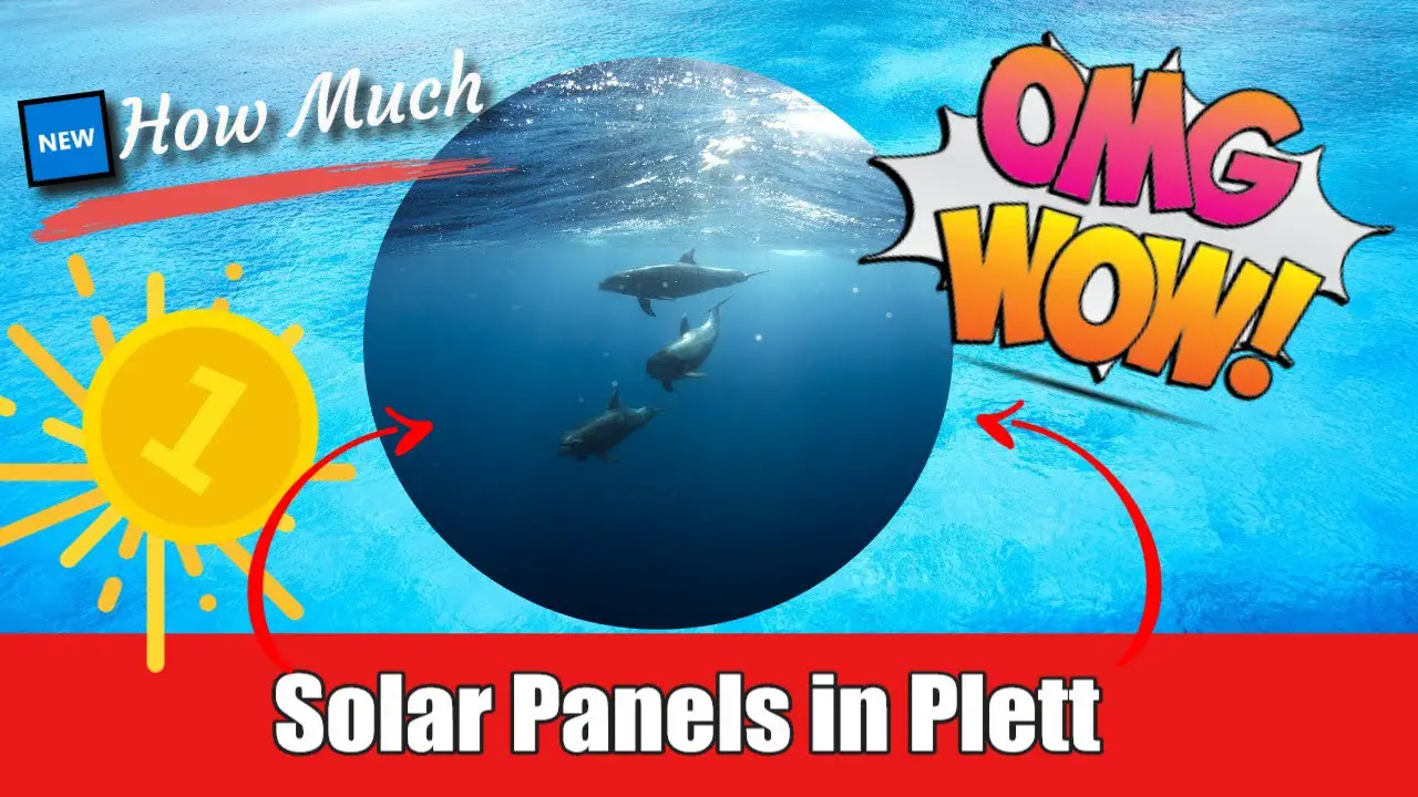 How Much Do Solar Panels Cost In Plettenberg Bay South ...