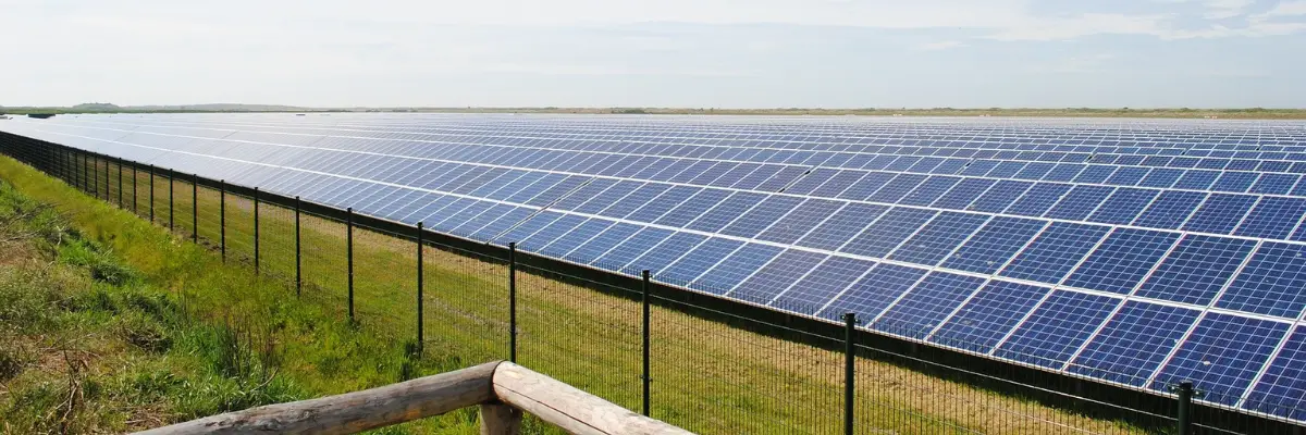 How Much Money Can a Solar Farm Make?