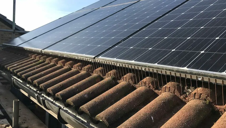 How to pigeon proof your solar panels