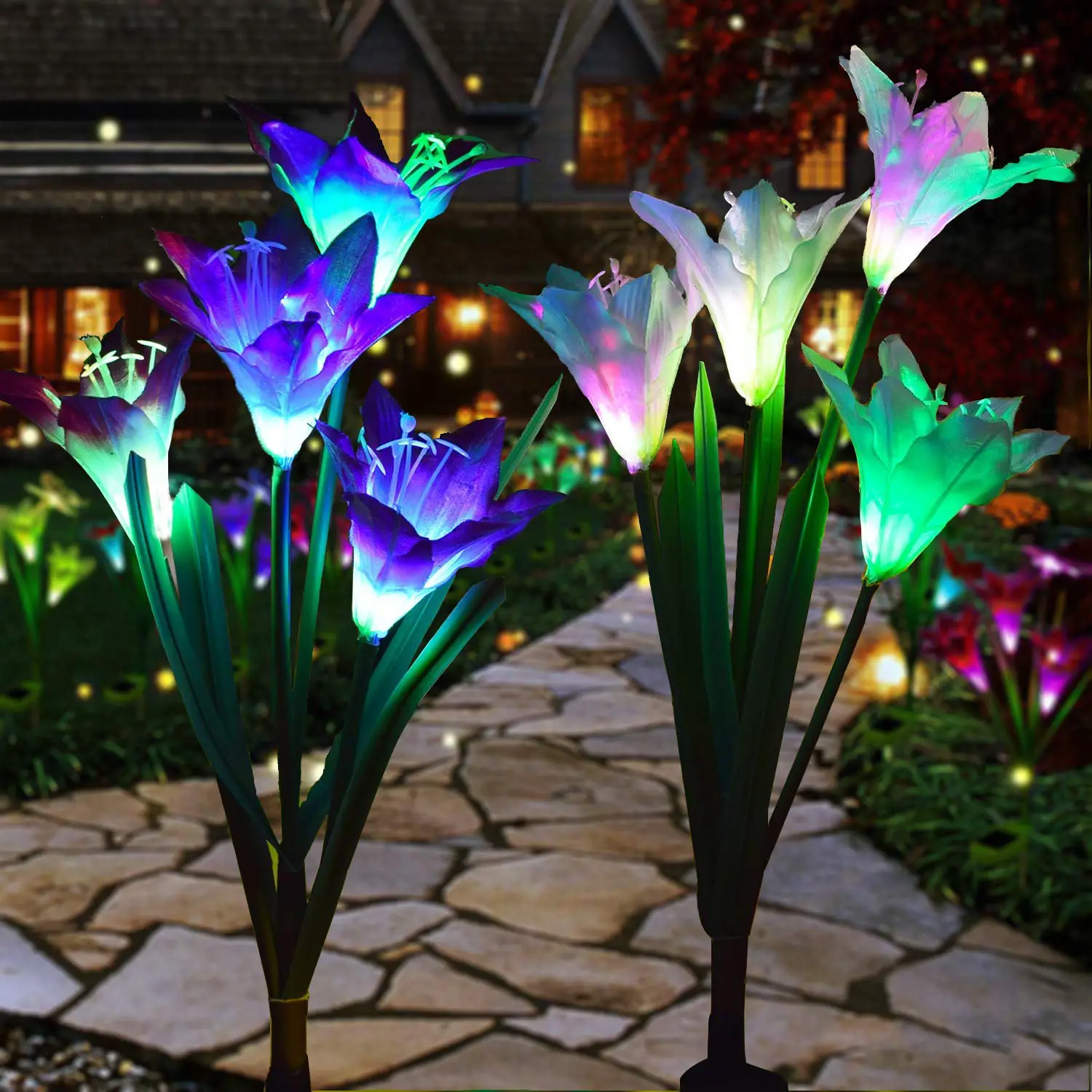 Outdoor Solar Lights â Decorative LED Flowers â Pack of 2 Solar Lilies ...