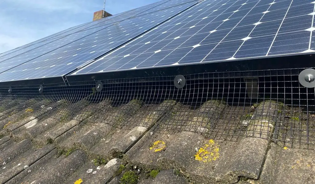 Pigeon Proofing Solar Panels.The UK