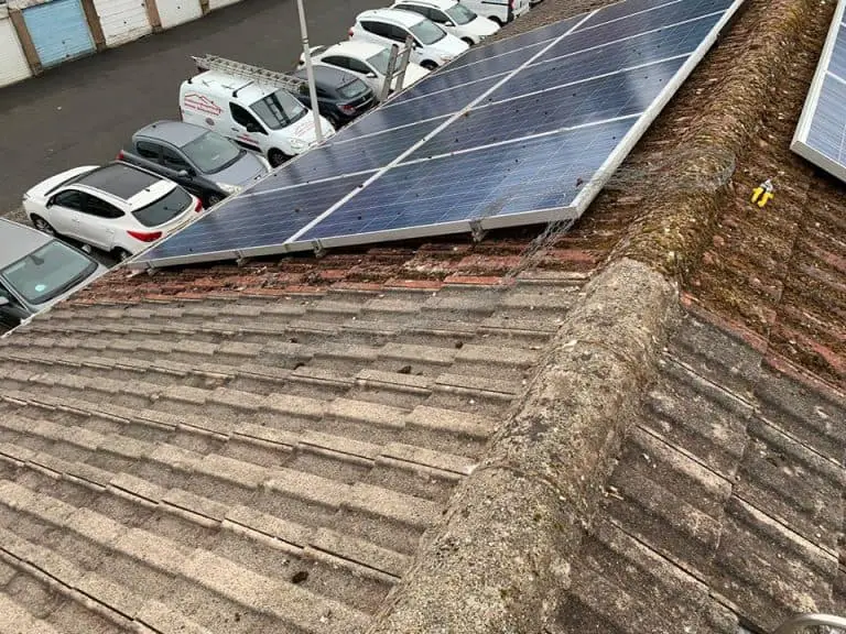 Pigeons Nesting Under Solar Panels North Lanarkshire ...