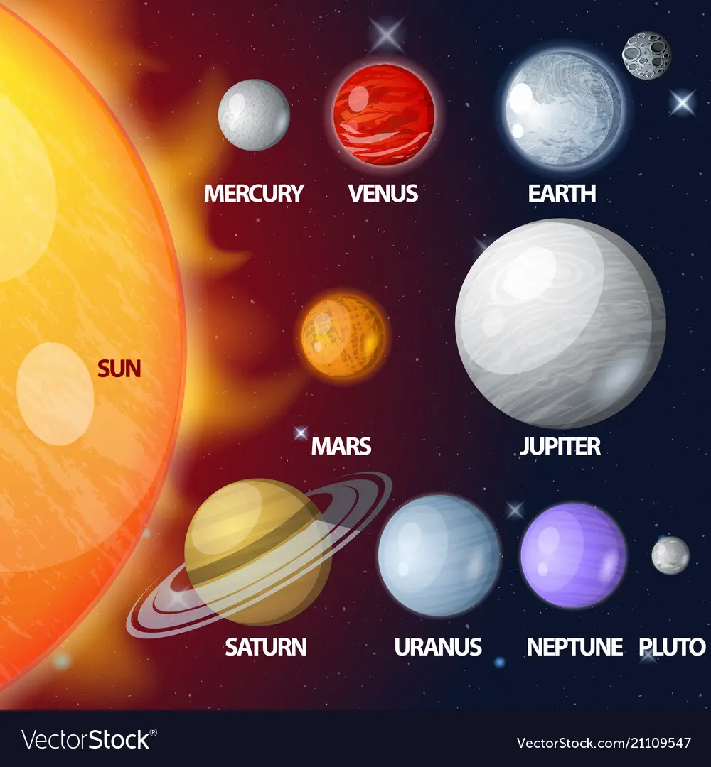 Planets of the solar system exhibited by size and Vector Image
