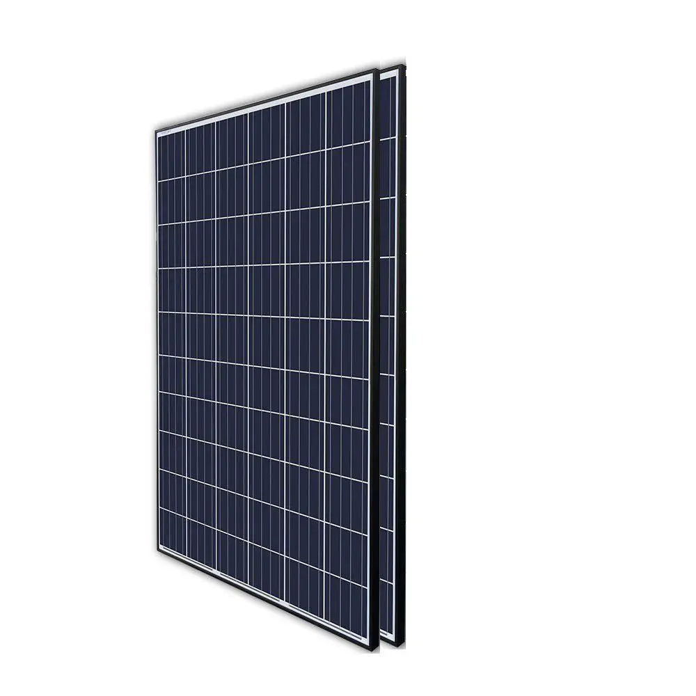 Renogy 2Pcs 300 Watt 24 Volt Monocrystalline Solar Panel ...