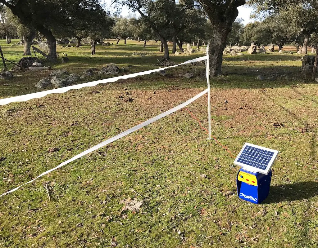 Setting up the first electric fence