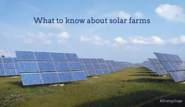 Solar Farms: What Are They and How Much Do They Cost?