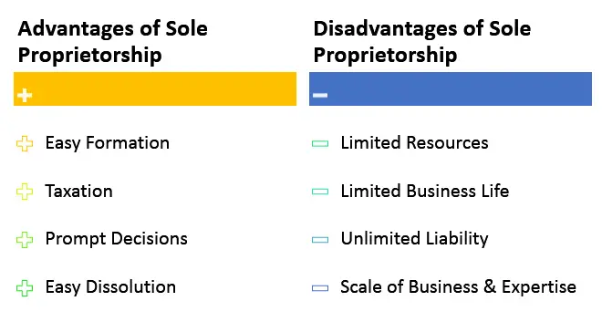 Sole Proprietorship Advantages and Disadvantages