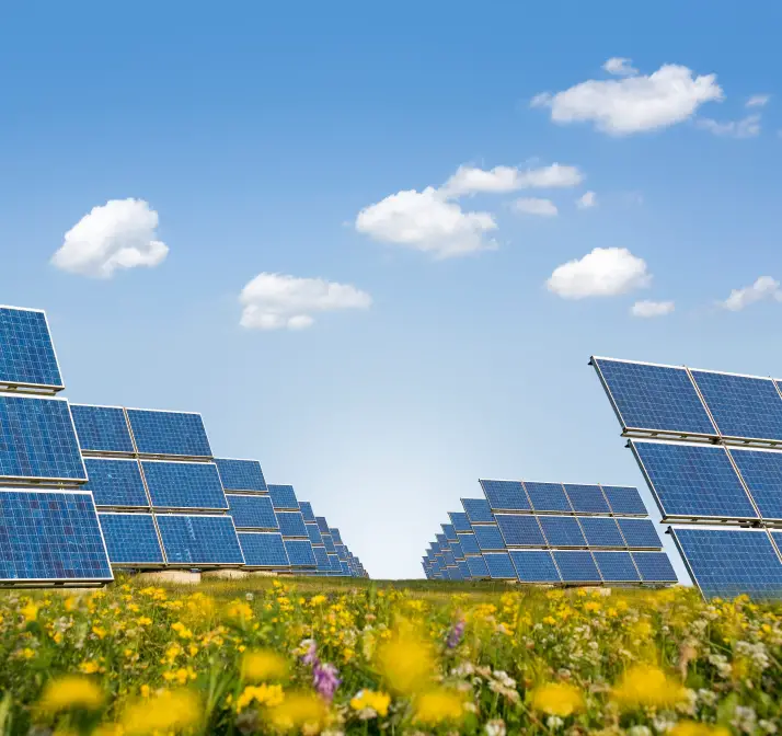 Transeastern Power Trust buys two solar parks in Romania for EUR 8.5 ...