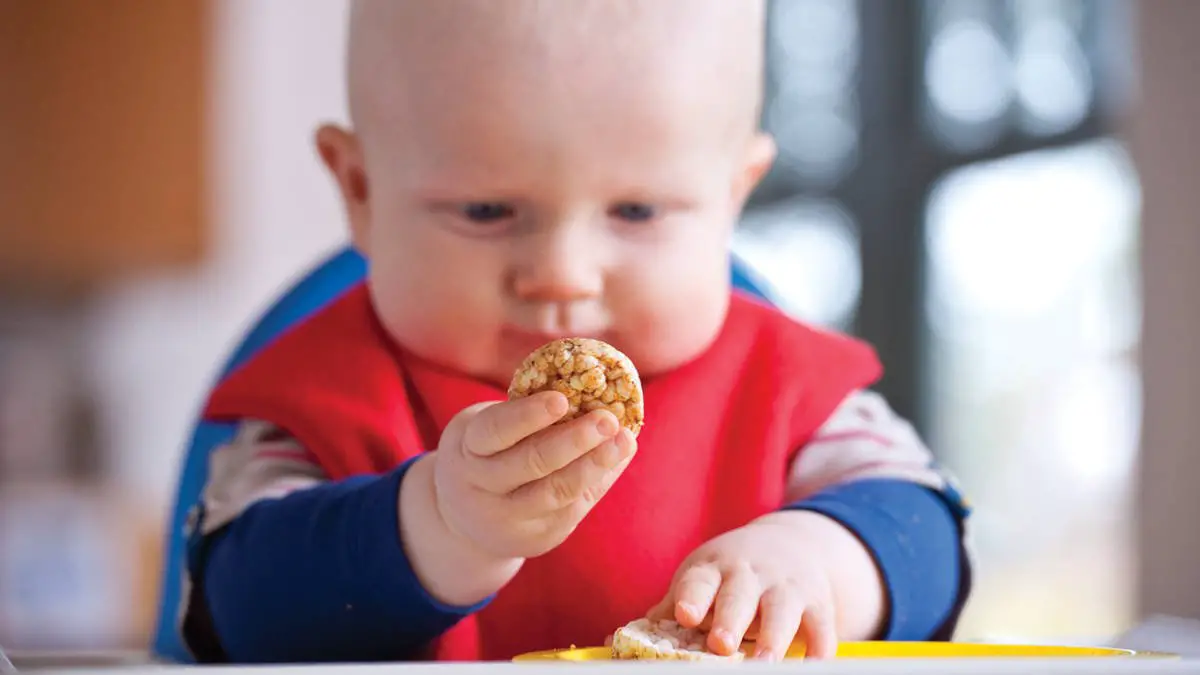 Weaning experts share seven simple tips to get your baby ...