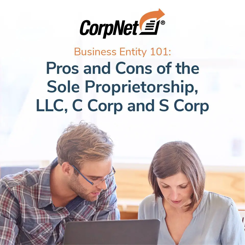 Webinar: Business Entity 101: Pros and Cons of the Sole ...