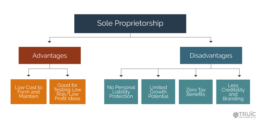 What is a Sole Proprietorship?