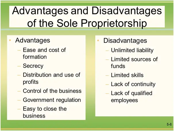 What is a Sole proprietorship Firm? Advantages and ...